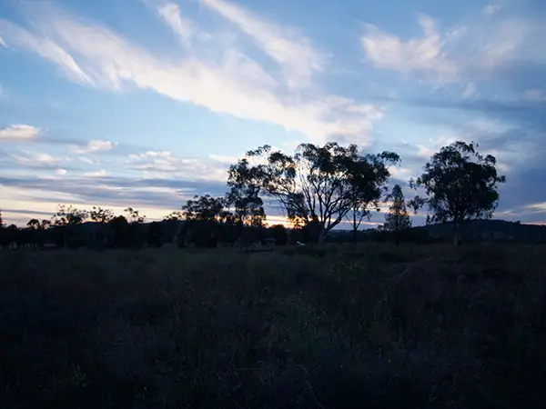Photo of landscape with trees at sunset
