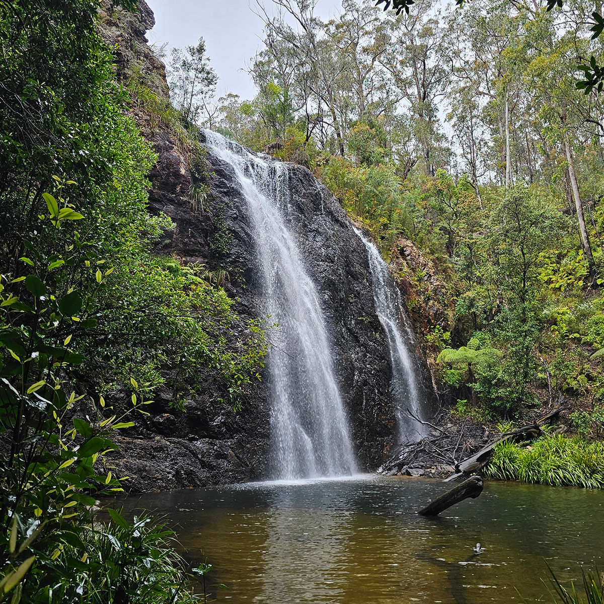 a waterfall surrounded by nature