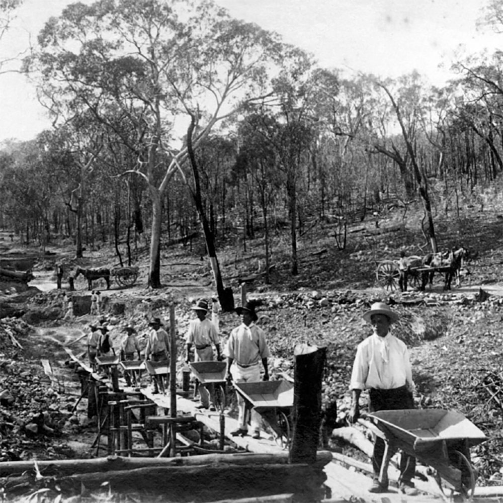 Grainy historic black and white photo of Chinese indented labourers - wearing white shirts and hats pushing wooden wheel barrows on a wooden path.