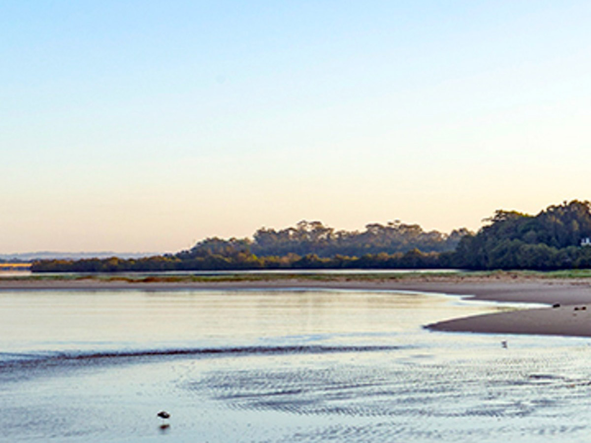 Ballina shore at low tide with a wading bird and scrubbery in the background