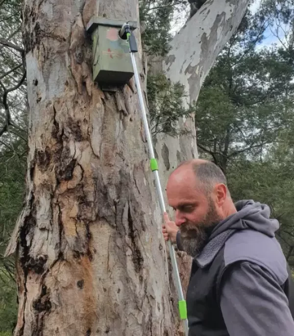 Owner of Wildlife Nest Boxes and President of the Friends of Campbells Creek, Miles Geldard explains the importance of tree hollows and nest boxes in the Campbells Creek system.
